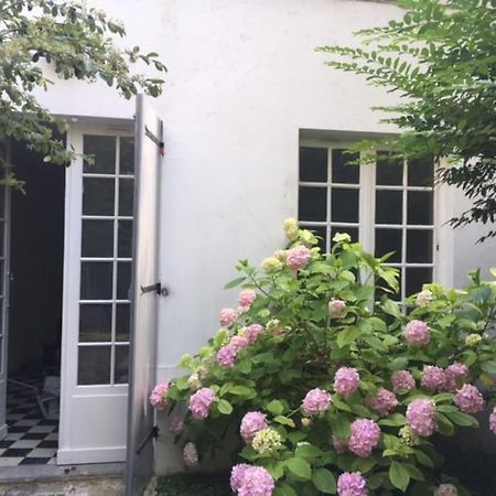 Charmante Maisonnette Jardin Triangle D'Or Bordeaux Ngoại thất bức ảnh